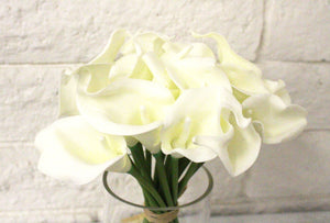 Cream Calla Lily w/ Vase