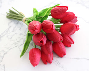 15 Red Real Touch Tulip