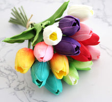 Load image into Gallery viewer, 15 Pastel Rainbow Multi Color Real Touch Tulip