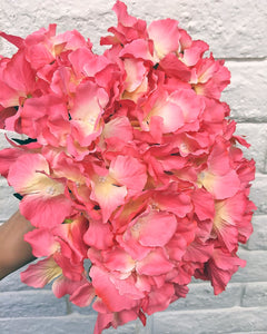 Pink Yellow Bouquet Hydrangea Flower