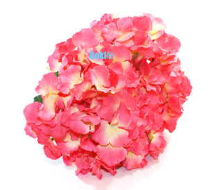 Pink Yellow Bouquet Hydrangea Flower