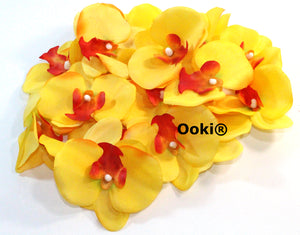 20 Yellow Orchid Flower Petals