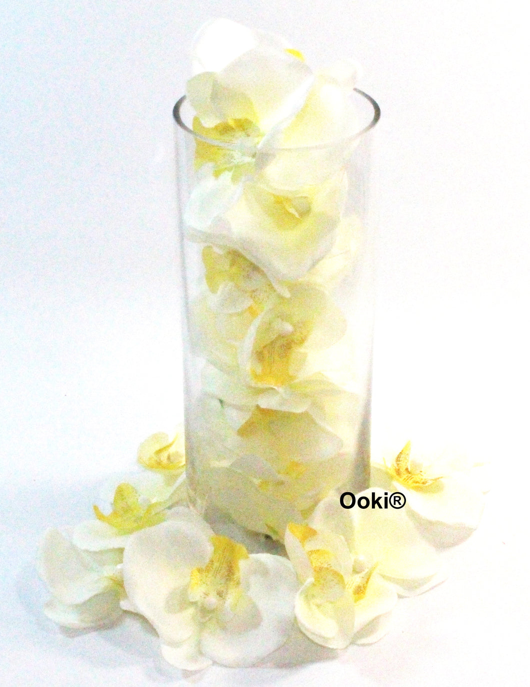 20 Ivory Orchid Flower Petals