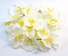 Load image into Gallery viewer, 20 Ivory Orchid Flower Petals