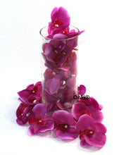 Load image into Gallery viewer, 20 Purple Orchid Flower Petals