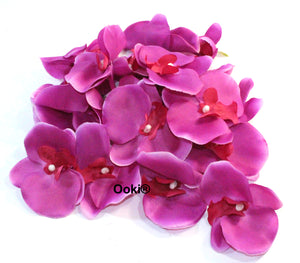 20 Purple Orchid Flower Petals