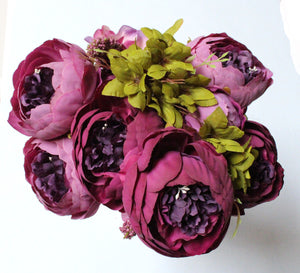 European Peony Purple Berry