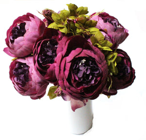 European Peony Purple Berry