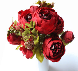 European Peony Ruby Red