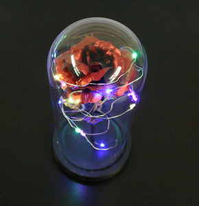 Eternal Enchanted Rose LED