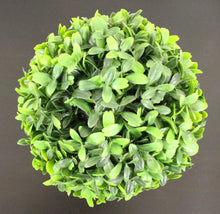 Load image into Gallery viewer, 13&quot; Boxwood Potted House Plant