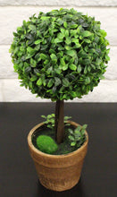 Load image into Gallery viewer, 13&quot; Boxwood Potted House Plant