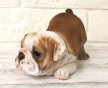 Load image into Gallery viewer, English Bulldog Figurine