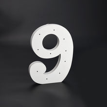 Load image into Gallery viewer, Wooden LED Number 9