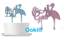 Load image into Gallery viewer, It&#39;s a Boy / Girl Cake Topper