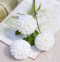 Load image into Gallery viewer, 12 Dandelion Heads