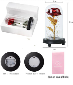 Eternal Enchanted Rose LED