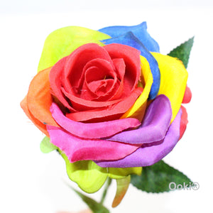 1 Dozen Rainbow Rose Long Stem